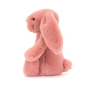 Bashful Sorrel Bunny